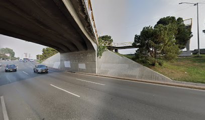 Puente de la trustesa