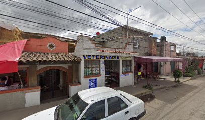 VETERINARIA Navarrete