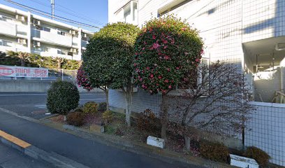 インテリジェント日野