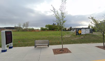 Alberta Children's Hospital Station (NB)