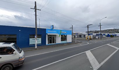 Kitchen Studio - Dunedin