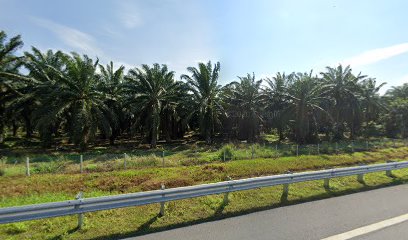 Goh Neng Seng Farm