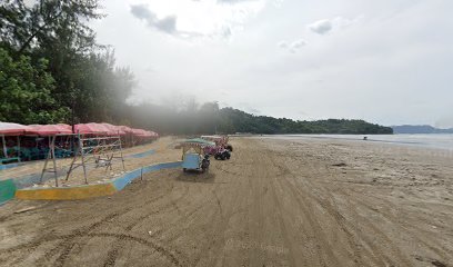 Batu Tumbuh & Pohon Besar