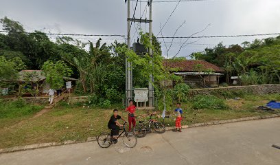 Lapak juragan tanaman hias