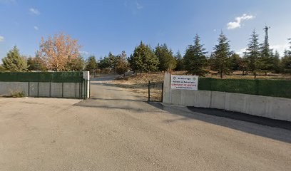Bağlıca Köyü Mezarlığı