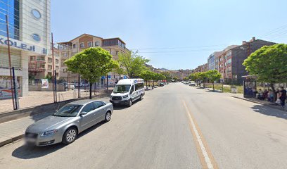 Özel Alp Koleji Mesleki ve Teknik Anadolu Lisesi