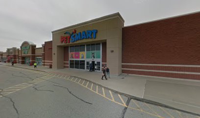 PetSmart Dog Training