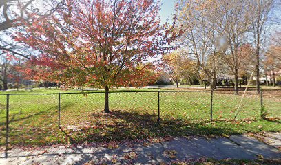 Basketball court