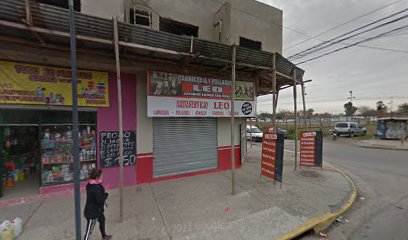 Carniceria Y Pollajeria Leo