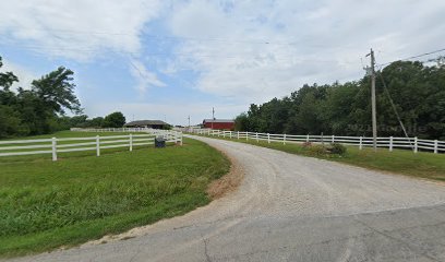 Knox Performance Horses