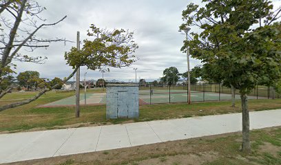 Basketball Court