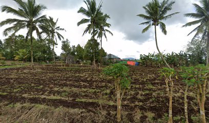 Rumah panggung woloan