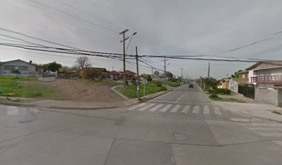 Qpc Fumigaciones - San Antonio