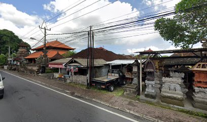 Casual Plants Bali