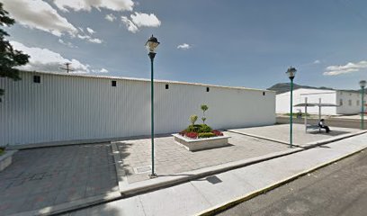 Centro de Salud Altzayanca