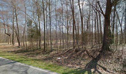 Old Shady Grove Cemetery