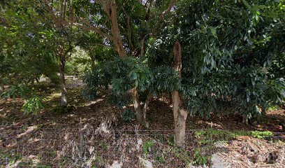 Dr. Paulo's Kona Coffee and Macadamia Nut Farms