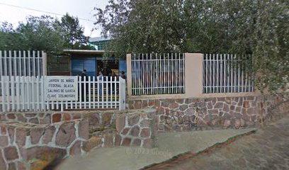 Jardín de niños blasa salinas de garcia