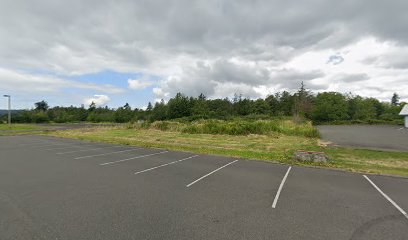 Ferndale Dirt Jumps