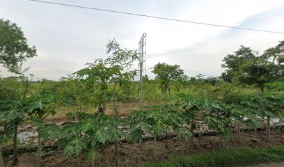 Lapangan sepak bola desa Purwahamba