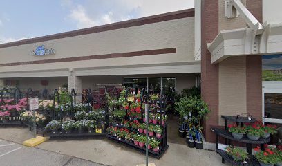Kroger Floral Department