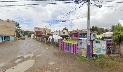 Escuela De Perros Tierranueva