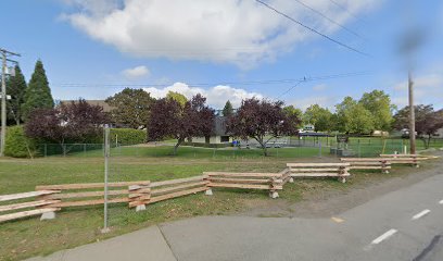 Central Saanich Fastball