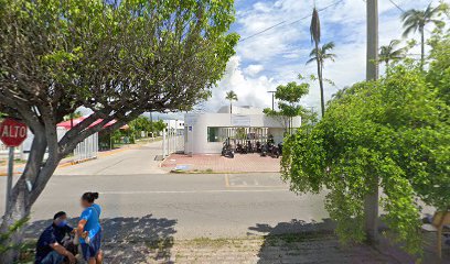 Instituto Mexicano Del Seguro Social