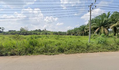 Awin Rumah Pengantin