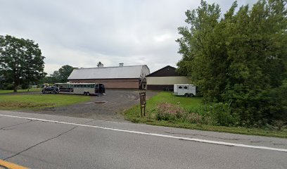 Le Camp Ecole D'Equitation La Licorne