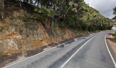 Driving Creek Bridge