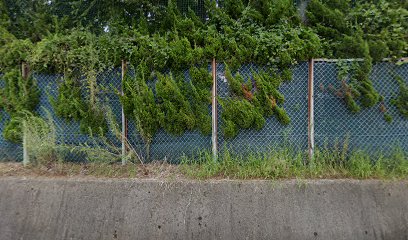 富山県立富山南高等学校 野球場