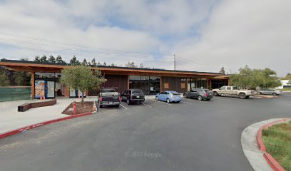 Warriors Auto | Auto dealership in Santa Clara