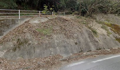 老犬ホームアリスの家