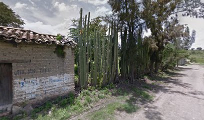 Preescolar Ind. Rural 'Vicente Guerrero'