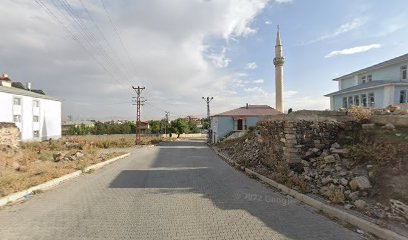 Çaldıran Eski Merkez Sadetler Cami