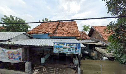 Tantri Aquarium