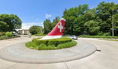 Swiss-Kreisel