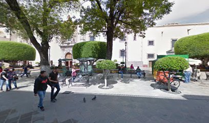 Plaza del arbolito