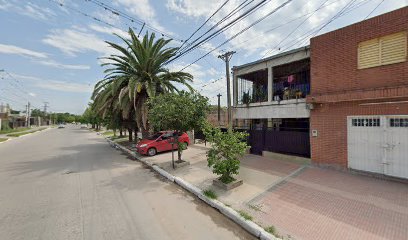 Avicola El corte. Pollos recién faenado