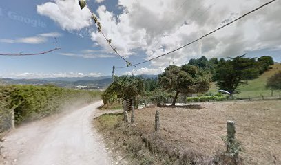 Arándanos de La Floresta