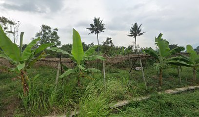 Kelompok Bermain Ar-Rajani