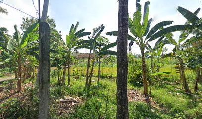 Tempat Pemakaman Desa Dukuh