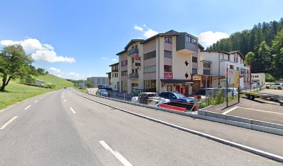 Autowelt Zürichsee