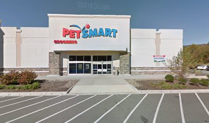 PetSmart Dog Training