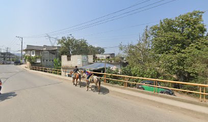 Carniceria el puente