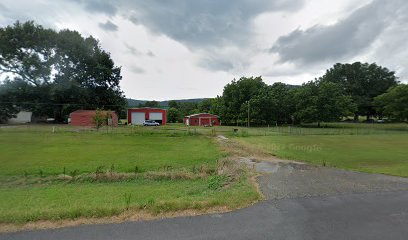 sadie's auction-red barn.