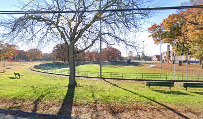 Carl Deluca Field