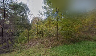 Pine Valley Cemetery