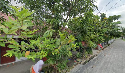 Rumah perintis